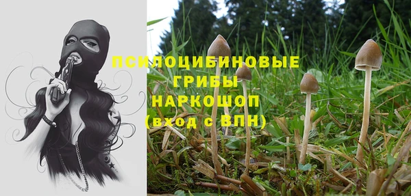 синтетический гашиш Няндома