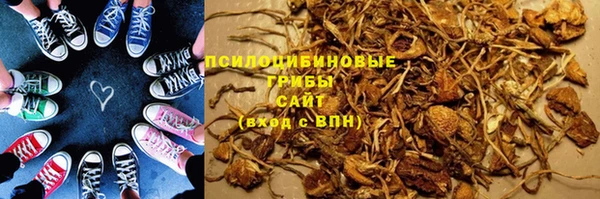 МДПВ Нязепетровск