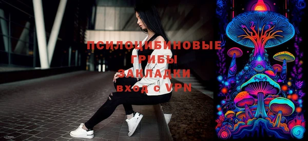 синтетический гашиш Няндома