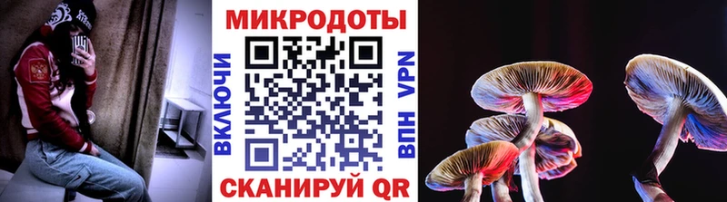 Галлюциногенные грибы Cubensis  Купить  Апатиты 