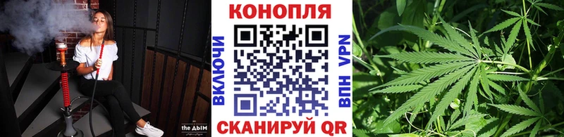Марихуана конопля Купить закладки Апатиты